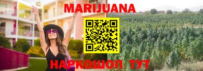 ALPHA PVP Пугачёв