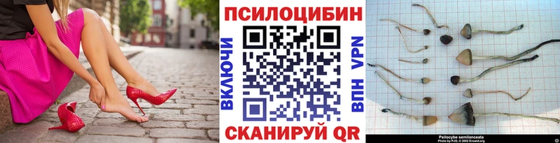 Галлюциногенные грибы Psilocybine cubensis  Фурманов 